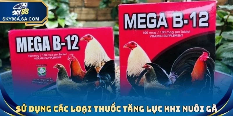 Sử dụng các loại thuốc tăng lực khi nuôi gà